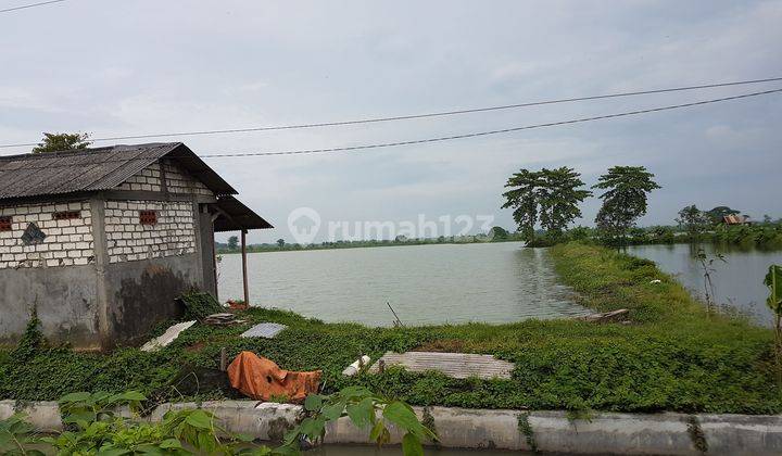 Tanah Industri, Pucuk, Lamongan 1