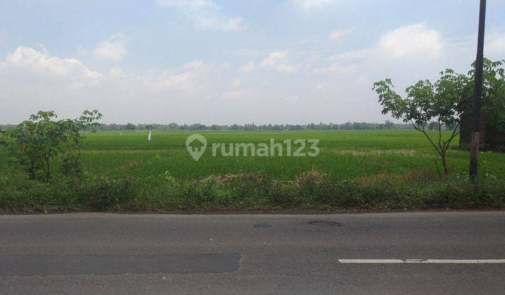 Tanah Murah Siap Bangun, Jalan Raya Solo-Sukoharjo.. 1