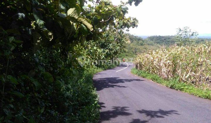 Tanah CANTIK dan istimewa gunung kidul paliyan 1