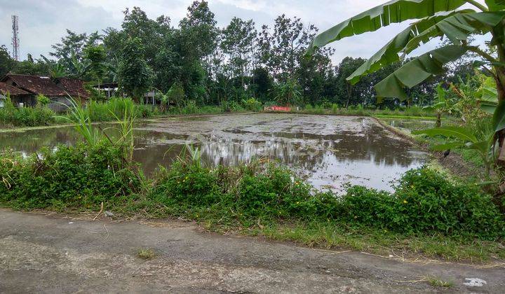 Tanah sawah di jl.kabupaten 1