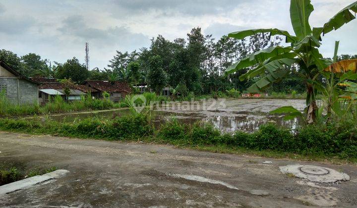 Tanah sawah di jl.kabupaten 2