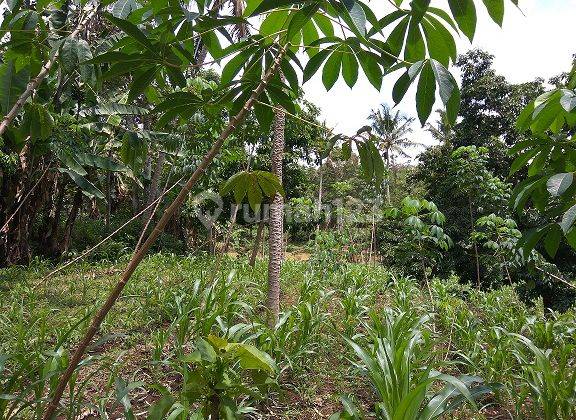 Tanah Subur Murah Strategis Dekat By Pass Tarogong Garut Bandung 2