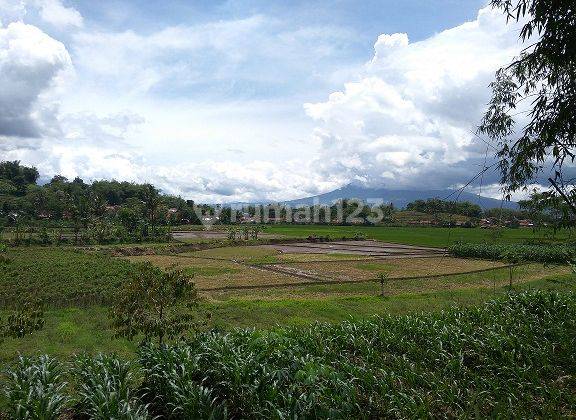 Tanah Subur Murah Strategis Dekat By Pass Tarogong Garut Bandung 1