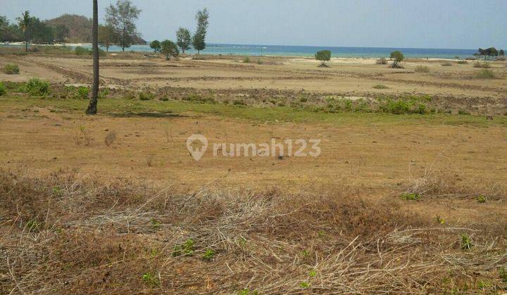 Lahan Murah Los Pantai di Sekotong 2