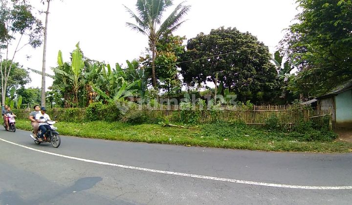 Tanah Luas dan Murah di Jalan Poros Tumpang Malang