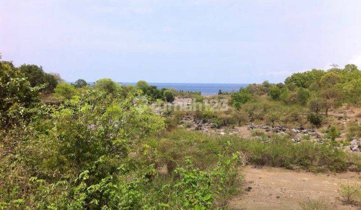 Tanah View Pantai ! Kapling Loloan 1 Lombok 2