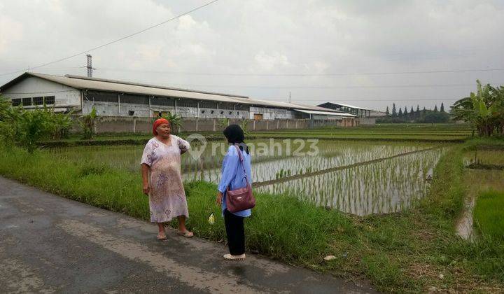 Tanah Cimareme Bandung 1