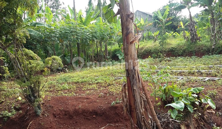 Tanah murah lokasi strategis di sawangan depok Tanah murah lokasi strategis di sawangan depok