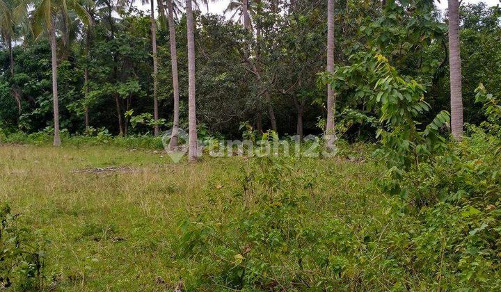 Tanah 5 Hektar di Tempat Wisata Karimun Jawa