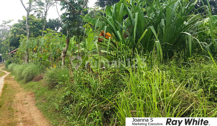 Land Plot / Vacant Land for Sale in Setu, Bekasi, suitable for housing.