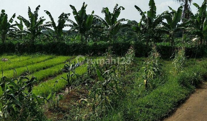 tanah murah dan luas di kota Bogor 1