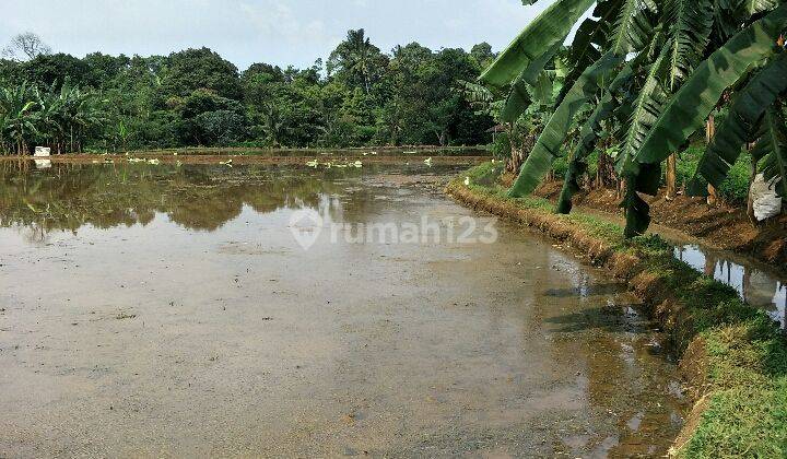 tanah murah dan luas di kota Bogor 2