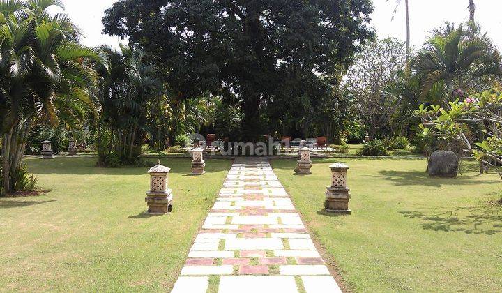 Tanah Dijual, Luas 6.633m2, Shm,di Jalan Bidadari, Seminyak, Bali 2