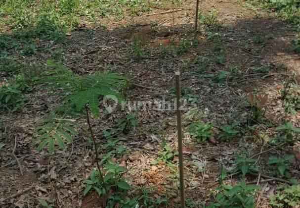 Tanah dengan lokasi Strategis daerah Tenjo dekat dengan tanah atau lahan agung podomoro 2