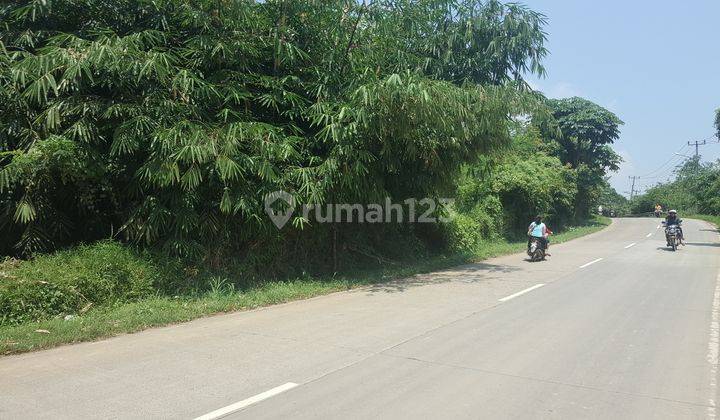 Tanah Di daerah Jasinga letak Strategis cocok utk Perumahan 1