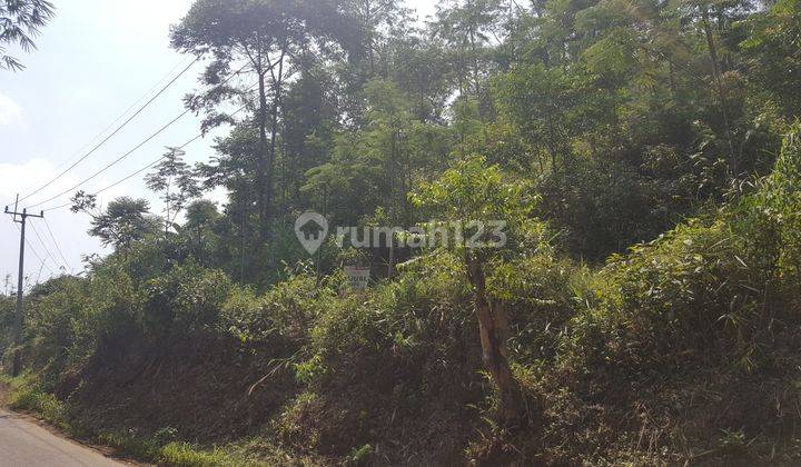 Tanah Di Cigudeg Dengan View Penggunungan cocok utk Perumahan 2