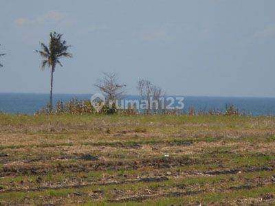 ABSOULUTLY BEACH FRONT LAND 1