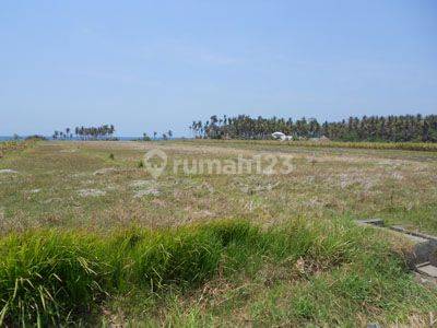 ABSOULUTLY BEACH FRONT LAND 2