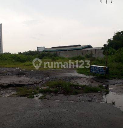 TANAH KOSONG MURAH DI KEMAYORAN - SUNTER JAKARTA UTARA 2