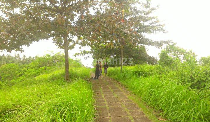 Ubud Gianyar luas tanah 14800 strategis dan indah NEGOOOO 2