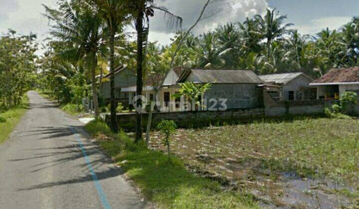 Tanah CANTIK  di sentolo kulonprogo 1