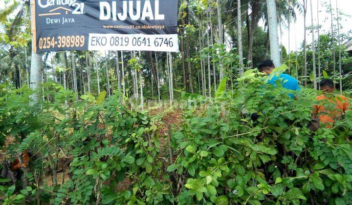 Tanah Desa Banjar Sari, kec Labuan Pandeglang 2