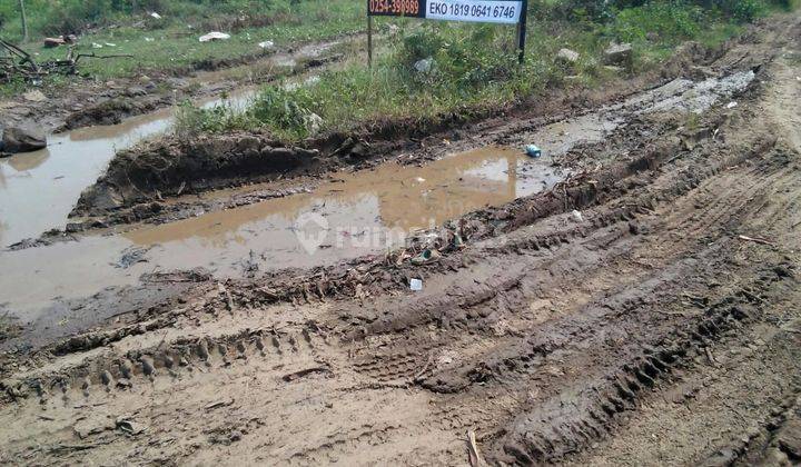 Tanah Bojonegara dekat pelelangan 1