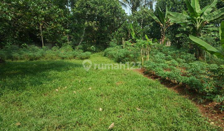 Tanah Di daerah Cibadung Gunung Sindur Bogor 2