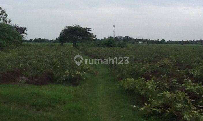 Tanah Cocok untuk Gudang, Jl.Raya Proklamasi Karawang Barat. 1