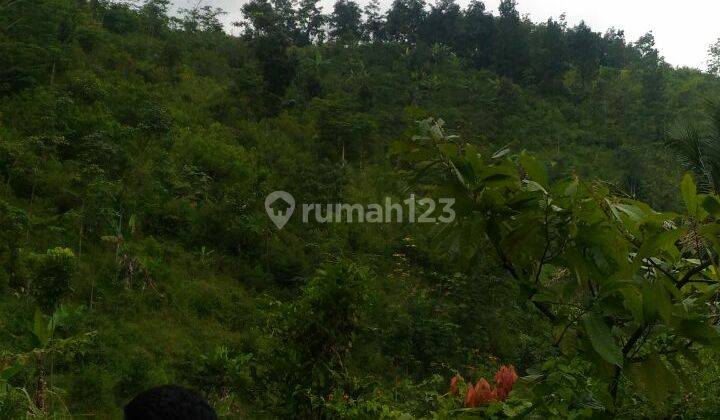 Tanah Murah di Bandung, Dekat Dengan Perkebunan Teh Walini dan Bersebelahan dengan Proyek Kereta Cepat RI-Cina 2