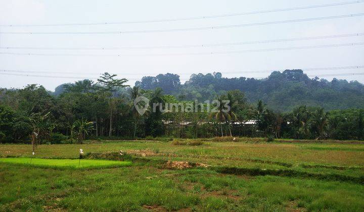 Tanah di Bogor di Rumpin desa gobang 1