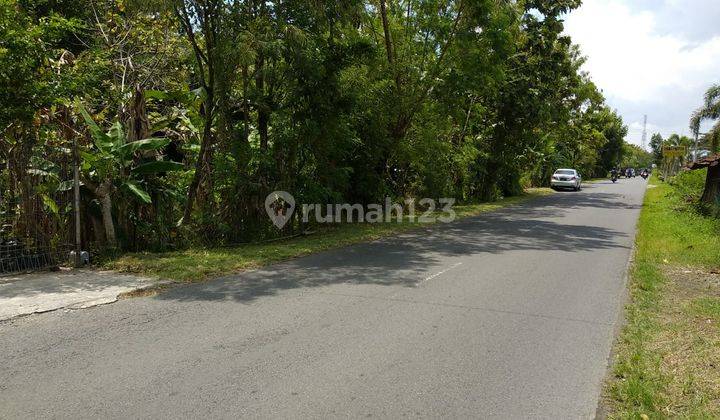 Tanah Bagus Buat Usaha dan Rumah di Godean Yogyakarta 2