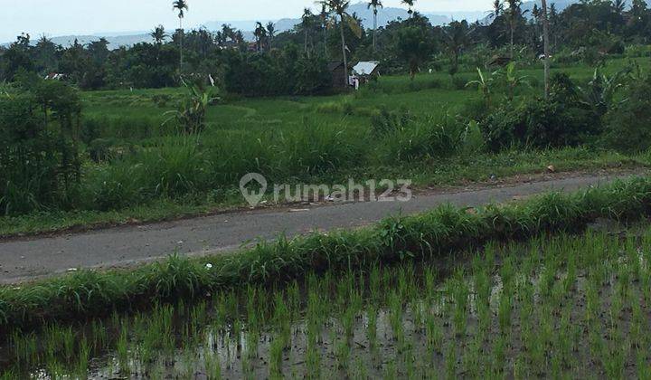 Bali - Medium Village Jl. Raya Krasan Land suitable for housing 2