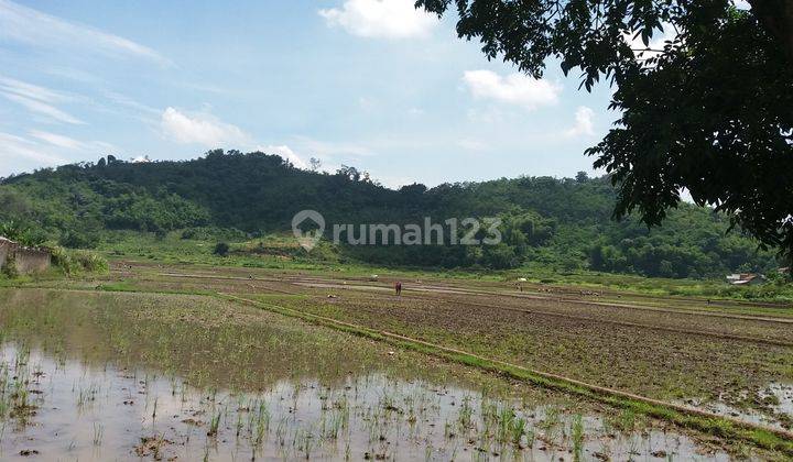 tanah sawah mainroad jln raya cipatik pataruman soreang 1