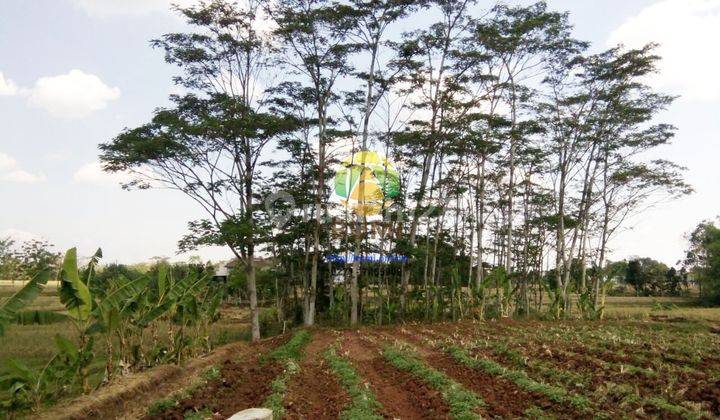 Tanah luas lokasi Karanganyar 1