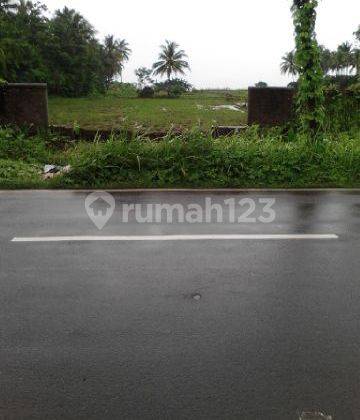 Tanah di panimbang jaya, Pandeglang Sertifikat Hak Milik 15.000 m² 2