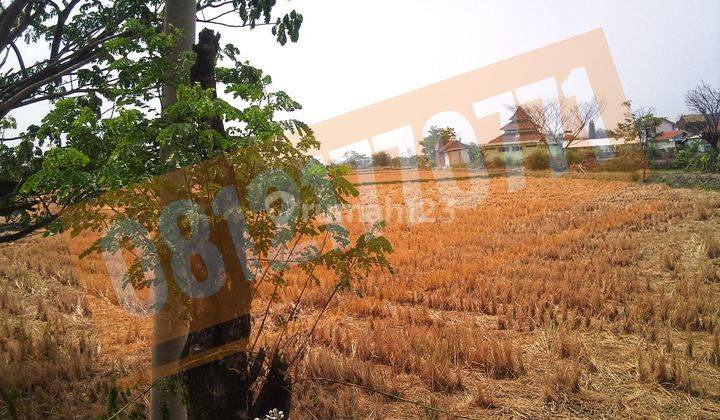 Tanah Pergudangan Duduk Sampeyan, Gresik 1