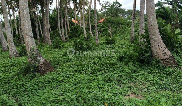 Tanah di nyambu tabanan bali cocok utk cluster perumahan,villa komplek atau kavling 1