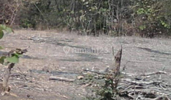 Tanah STRTAEGIS Kota Pasuruan Harga CIAMIIK Masih NEGOO 1