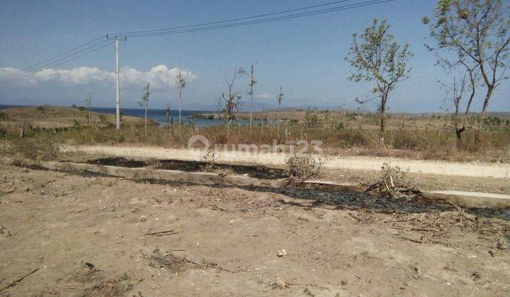 Lahan Murah di Pantai Pink Lombok 1