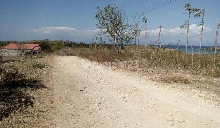 Lahan Murah di Pantai Pink Lombok 2