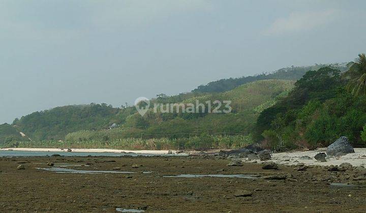 Tanah di  Tanjung Lesung View pantai 8 hektar 1