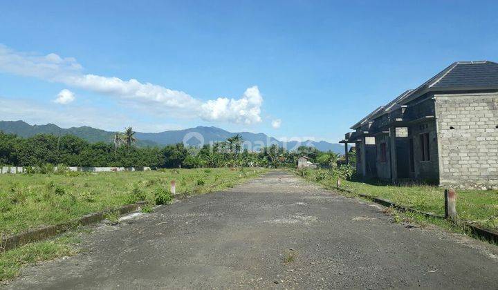 Cheap Plot Land Tinga tinga Gerokgak Buleleng 2