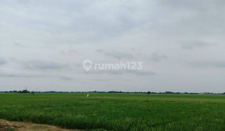 Tanah Industri 45 Ha SHM Cikarang Timur Bekasi 1