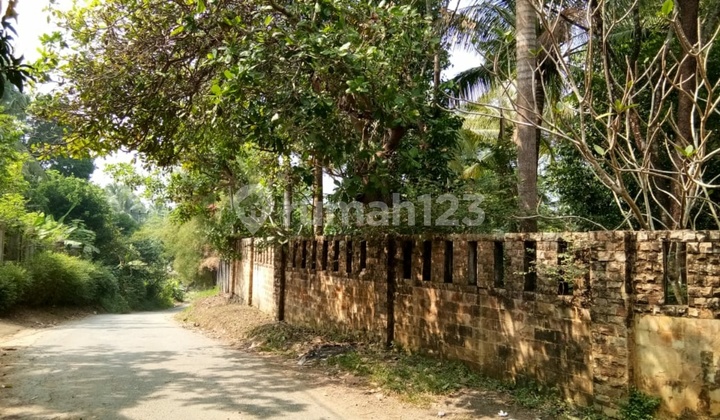Kebon Buah Buahan Siap Panen Berpagar