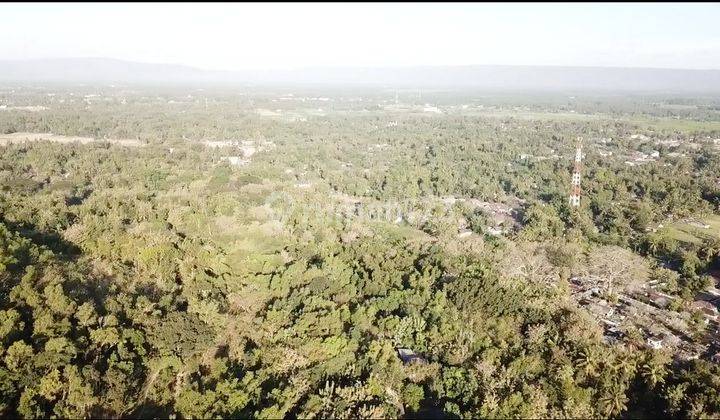 TANAH PEKARANGAN DI GUWOSARI VIEW PERBUKITAN DAN PANTAI SELATAN COCOK UNTUK INVESTASI 2