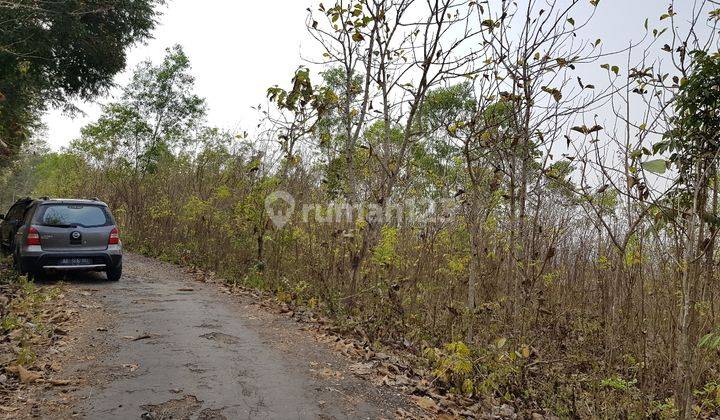 TANAH PEKARANGAN DI GUWOSARI VIEW PERBUKITAN DAN PANTAI SELATAN COCOK UNTUK INVESTASI 1