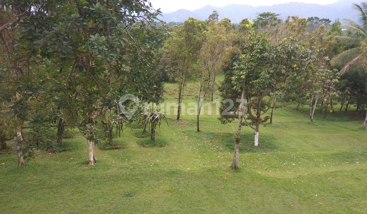 tanah dan villa asri dibandung, cocok untuk acara