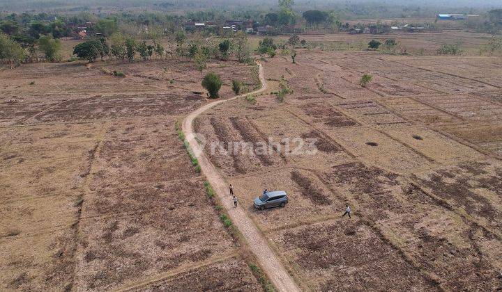 Tanah Industri Kembangbahu, Tikung, Mantup, Lamongan 1