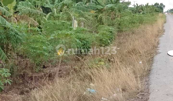 Tanah Luas 50 Hektar di Tanjung Api-api Pinggir Jalan KM 49 Palembang Tanah Luas 50 Hektar di Tanjung Api-api Pinggir Jalan KM 49 Palembang